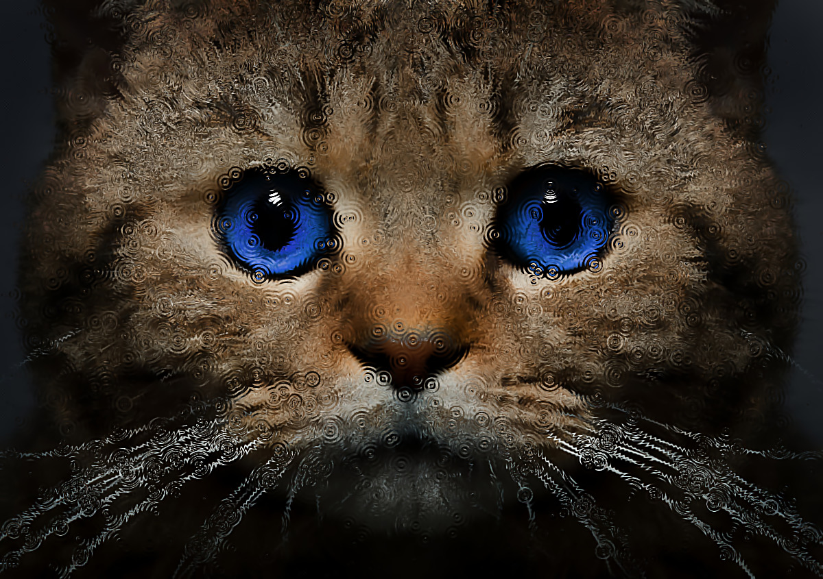 К чему снится кот? Кот, белый кот, котята, много котов > Тор Лик